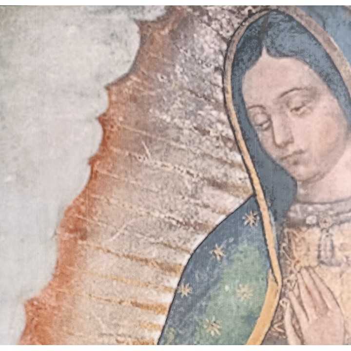 Virgen de Guadalupe Imagen Basílica Mural en Azulejos