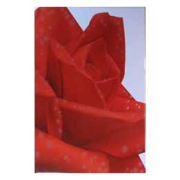 Imagen de Flor Rosa Roja en Azulejo Blanco 20x30 cm - Alcesa