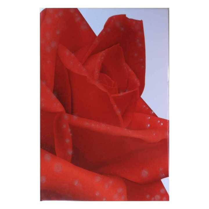 Imagen de Flor Rosa Roja en Azulejo Blanco 20x30 cm - Alcesa