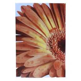 Imagen de Flor Margarita en Azulejo 20x30cm - Alcesa