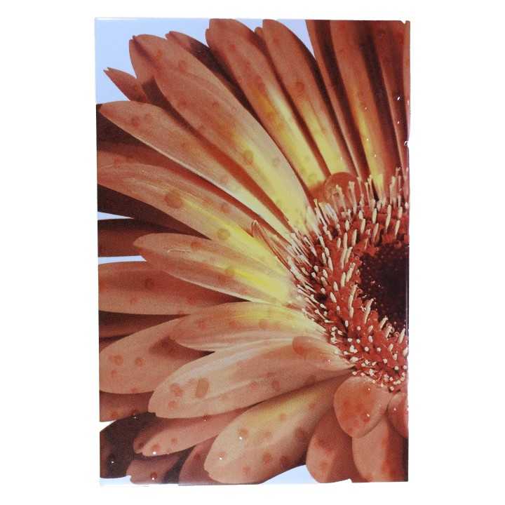 Imagen de Flor Margarita en Azulejo 20x30cm - Alcesa