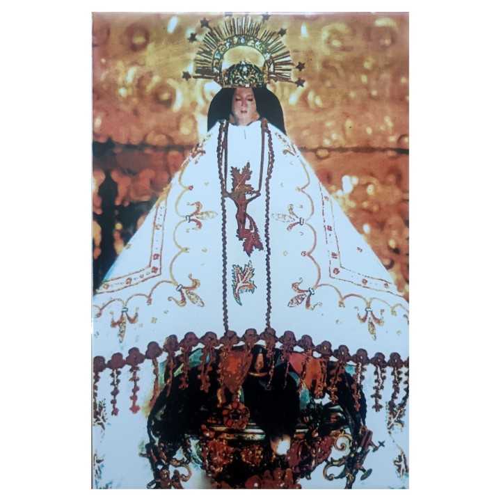 Nuestra Señora de Juquila Imagen 20x30 cm en azulejo - Miraflores